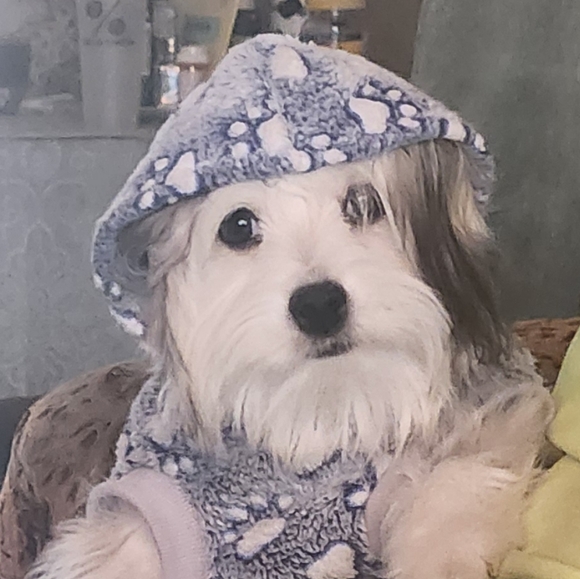 Meet your Posher - Picture 1 of 5